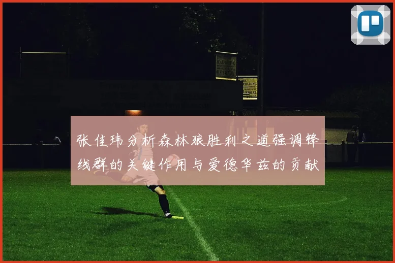 张佳玮分析森林狼胜利之道强调锋线群的关键作用与爱德华兹的贡献