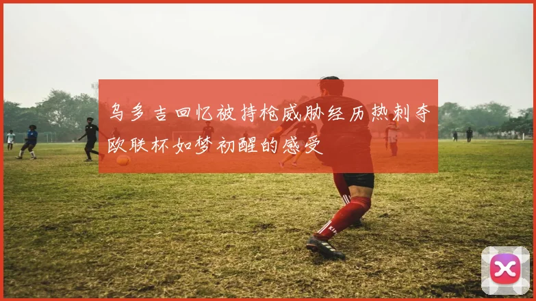 乌多吉回忆被持枪威胁经历热刺夺欧联杯如梦初醒的感受
